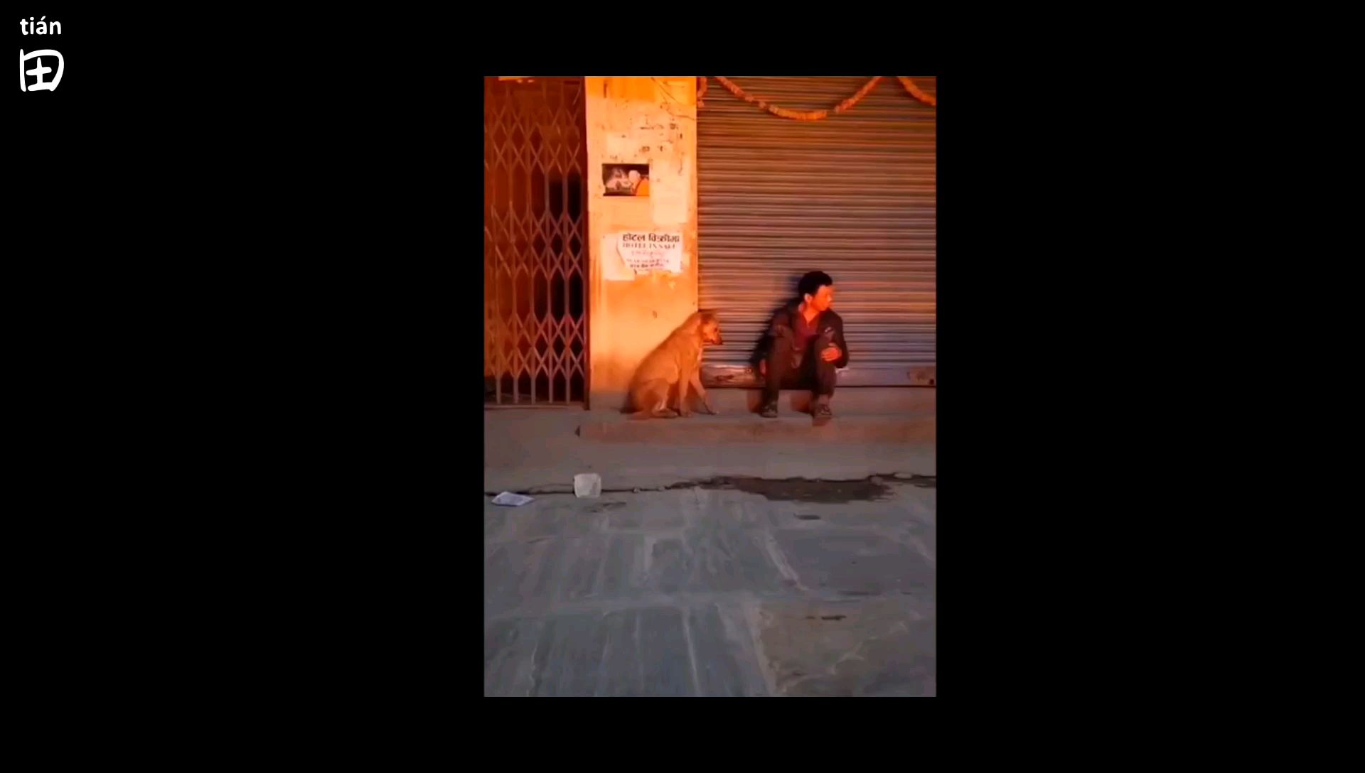 生而为人不只是抱歉,生而为人还请努力